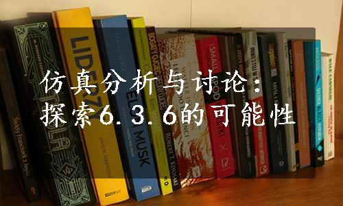 仿真分析与讨论：探索6.3.6的可能性