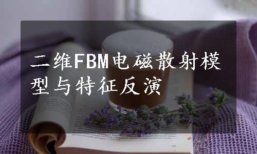 二维FBM电磁散射模型与特征反演