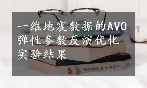 一维地震数据的AVO弹性参数反演优化实验结果