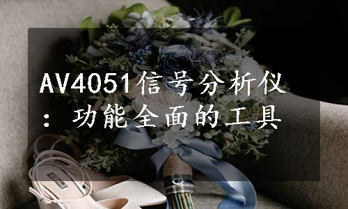 AV4051信号分析仪：功能全面的工具