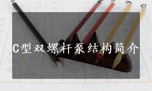 C型双螺杆泵结构简介