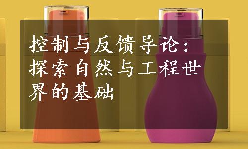 控制与反馈导论：探索自然与工程世界的基础