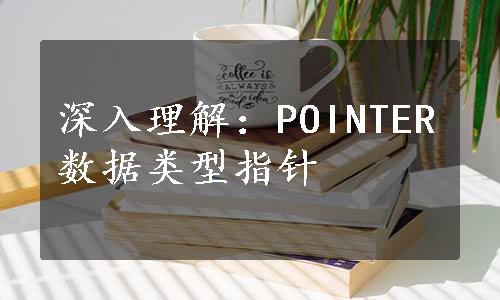 深入理解：POINTER数据类型指针