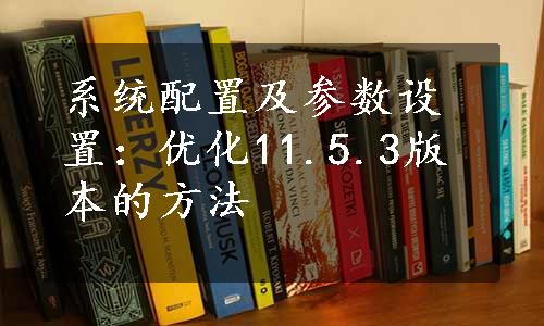 系统配置及参数设置：优化11.5.3版本的方法