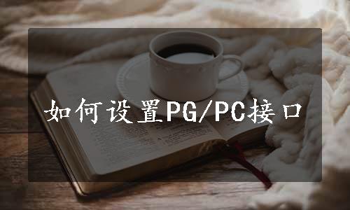 如何设置PG/PC接口