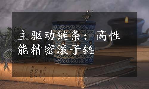 主驱动链条：高性能精密滚子链