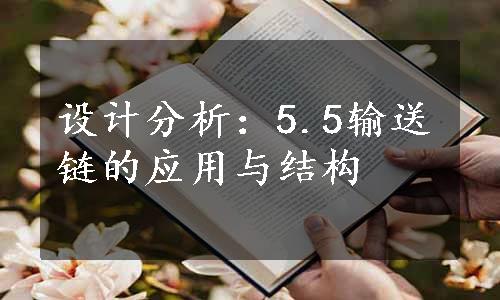 设计分析：5.5输送链的应用与结构