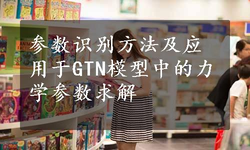 参数识别方法及应用于GTN模型中的力学参数求解