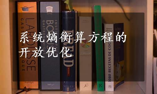 系统熵衡算方程的开放优化