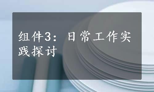 组件3：日常工作实践探讨