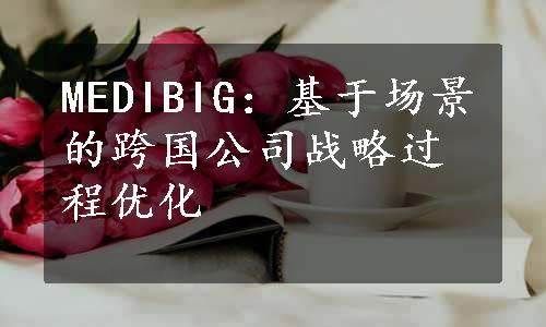 MEDIBIG：基于场景的跨国公司战略过程优化