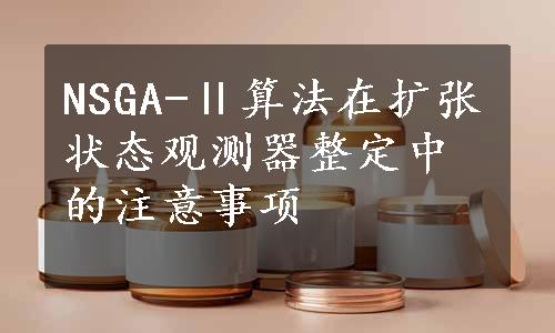 NSGA-Ⅱ算法在扩张状态观测器整定中的注意事项