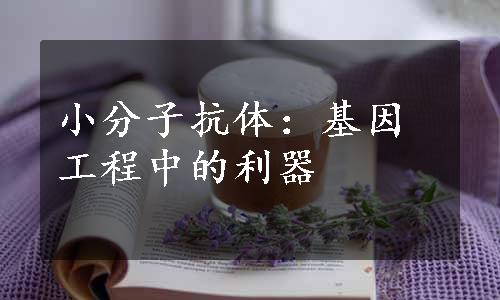 小分子抗体：基因工程中的利器