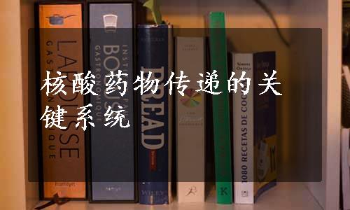 核酸药物传递的关键系统