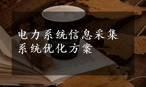 电力系统信息采集系统优化方案