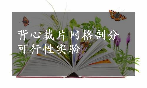 背心裁片网格剖分可行性实验