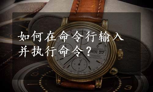 如何在命令行输入并执行命令？