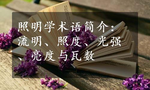 照明学术语简介：流明、照度、光强、亮度与瓦数