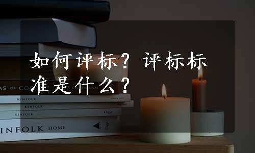 如何评标？评标标准是什么？