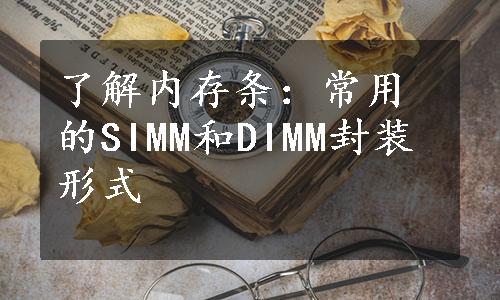 了解内存条：常用的SIMM和DIMM封装形式