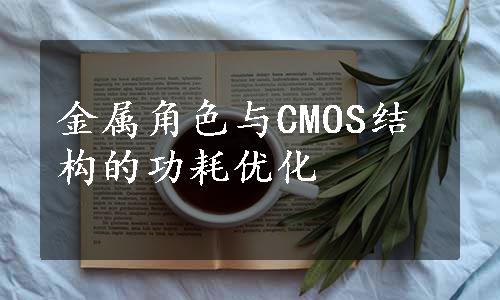 金属角色与CMOS结构的功耗优化