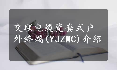 交联电缆瓷套式户外终端(YJZWC)介绍