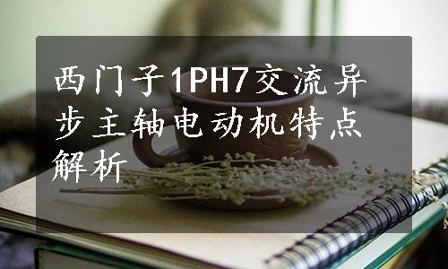 西门子1PH7交流异步主轴电动机特点解析