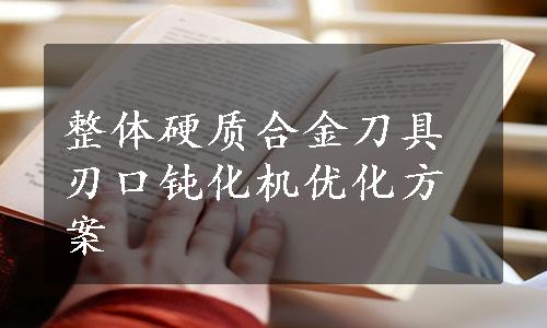 整体硬质合金刀具刃口钝化机优化方案