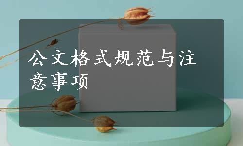 公文格式规范与注意事项