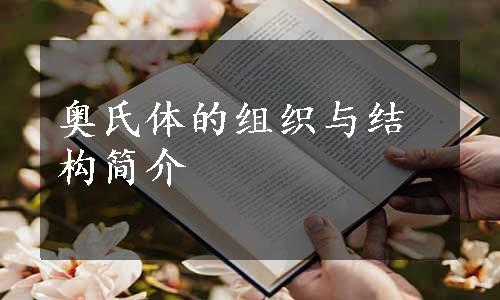 奥氏体的组织与结构简介