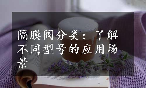 隔膜阀分类：了解不同型号的应用场景