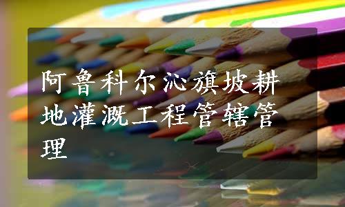 阿鲁科尔沁旗坡耕地灌溉工程管辖管理