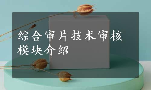 综合审片技术审核模块介绍