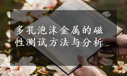 多孔泡沫金属的磁性测试方法与分析