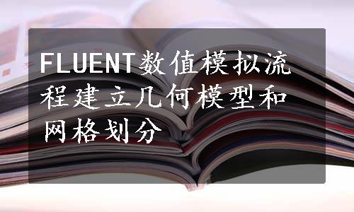 FLUENT数值模拟流程建立几何模型和网格划分