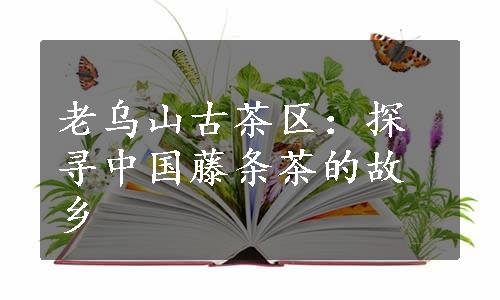 老乌山古茶区：探寻中国藤条茶的故乡