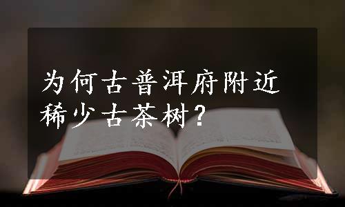 为何古普洱府附近稀少古茶树？