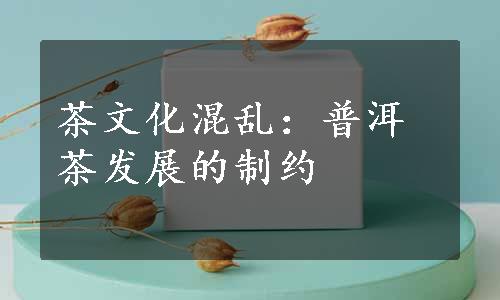 茶文化混乱：普洱茶发展的制约