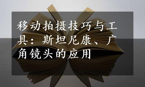 移动拍摄技巧与工具：斯坦尼康、广角镜头的应用