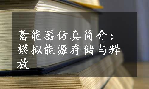 蓄能器仿真简介：模拟能源存储与释放