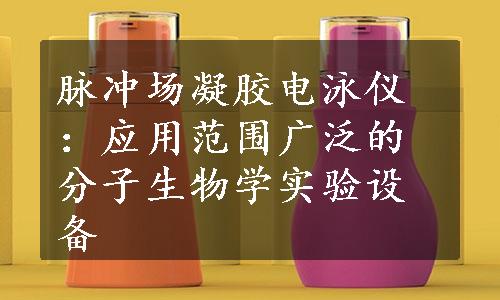 脉冲场凝胶电泳仪：应用范围广泛的分子生物学实验设备