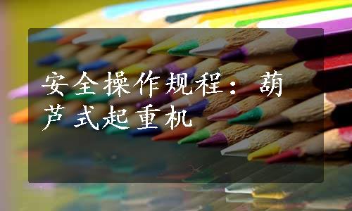 安全操作规程：葫芦式起重机