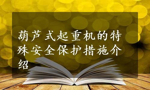 葫芦式起重机的特殊安全保护措施介绍