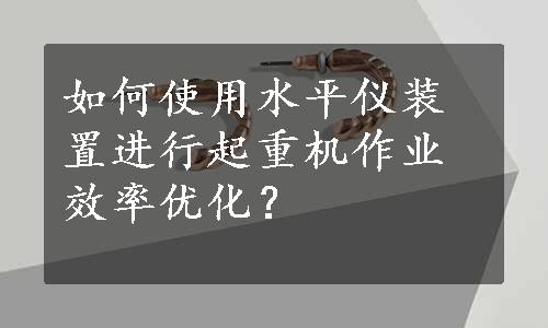 如何使用水平仪装置进行起重机作业效率优化？