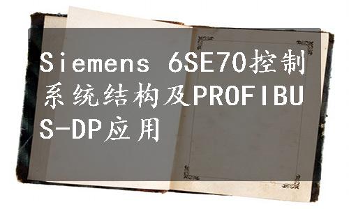 Siemens 6SE70控制系统结构及PROFIBUS-DP应用