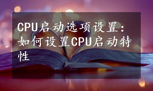 CPU启动选项设置：如何设置CPU启动特性