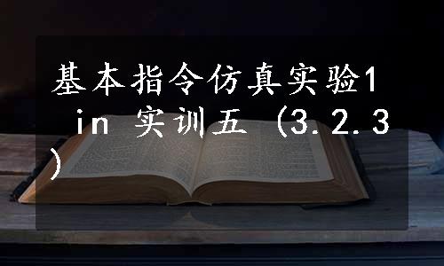 基本指令仿真实验1 in 实训五 (3.2.3)