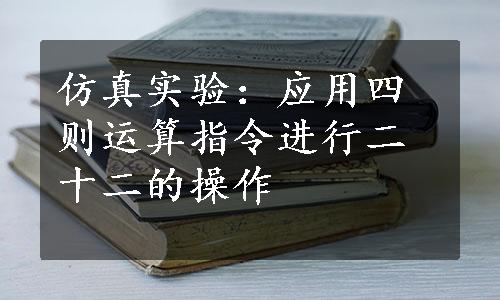 仿真实验：应用四则运算指令进行二十二的操作