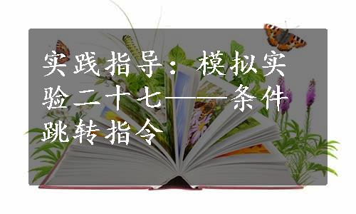 实践指导：模拟实验二十七——条件跳转指令