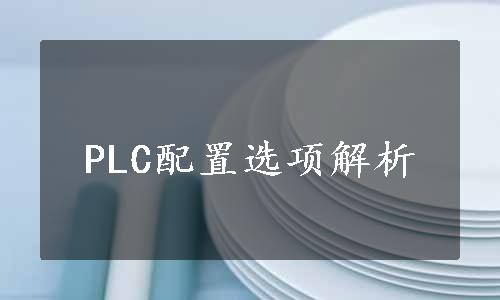 PLC配置选项解析